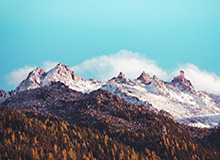 九游官网：开启游戏世界的智能入口